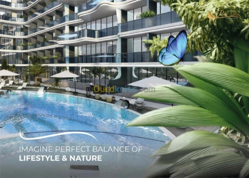 Vente Appartement F3 Emirats Arabes Unis