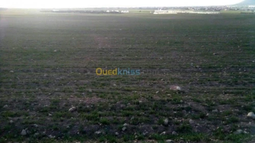Vente Terrain Setif Bir haddada
