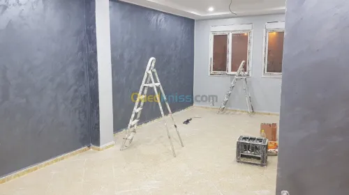  Décoration peinture placo platre 