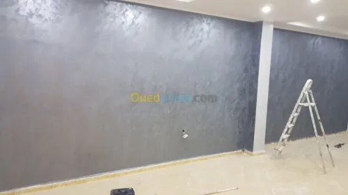  Décoration peinture placo platre 