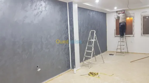  Décoration peinture placo platre 