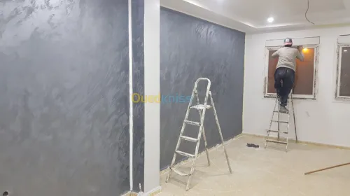  Décoration peinture placo platre 