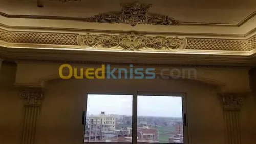 ديكور للفيلات والمنازل GRP