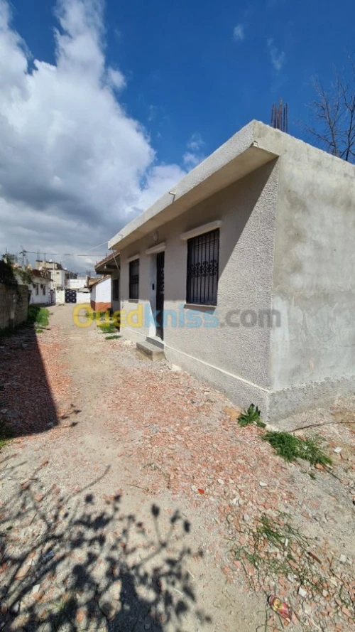 Vente Villa Alger Birtouta