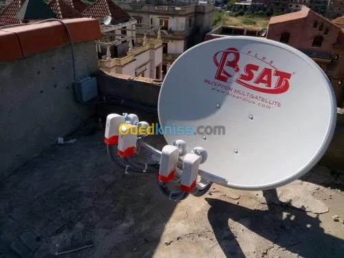 PARABOLE COLLECTIVE ET INDIVIDUEL