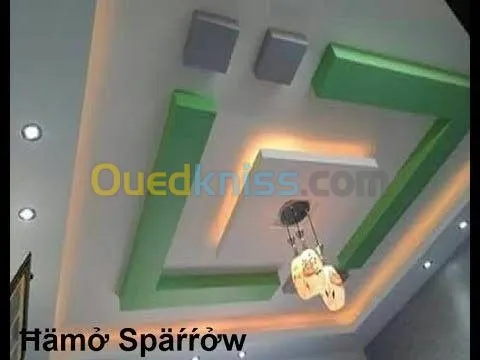 Placo platre et peinture decoration