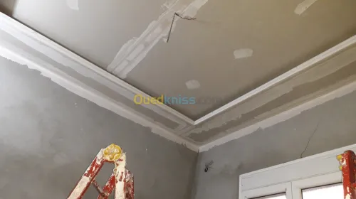 Placo platre et peinture decoration