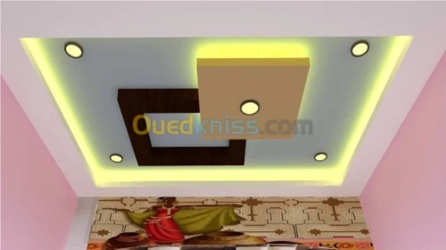 Placo platre et peinture decoration