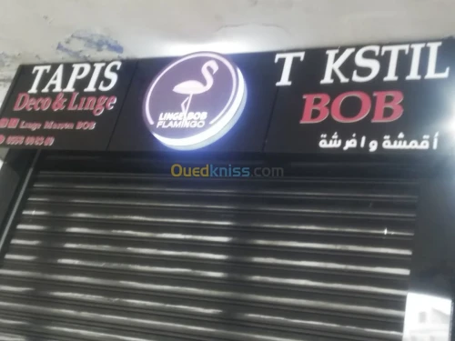 ريدو اليكتريك'