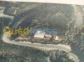 Vente Terrain Chlef Tenes