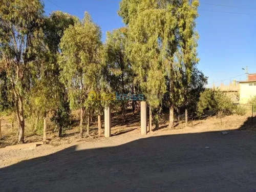 Vente Villa Msila Ouled sidi brahim
