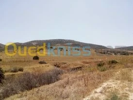 Vente Terrain Ain temouchent Bou zedjar