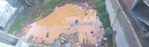 Vente Terrain Alger Birtouta