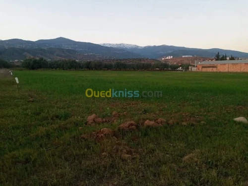 Location Terrain Bejaia Tazmaltdaira