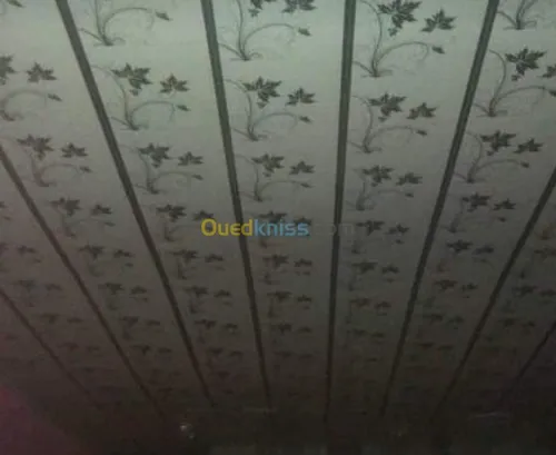 Entreprises de travaux faux plafond