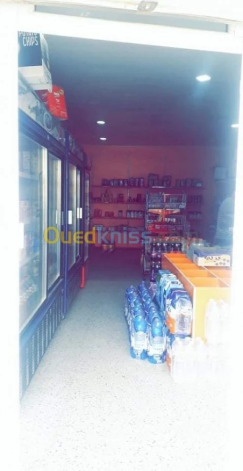 Location Local Alger Les eucalyptus