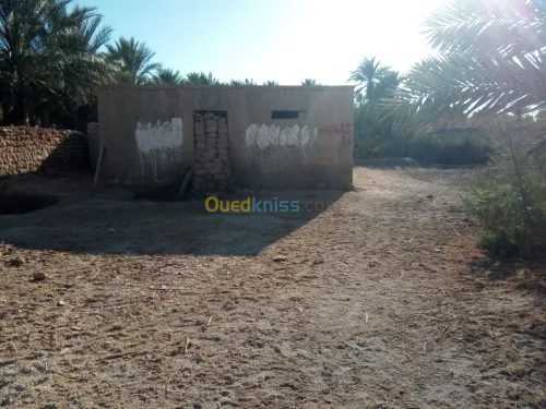 Vente Terrain Biskra Bouchagroun