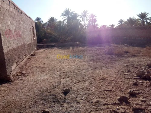 Vente Terrain Biskra Bouchagroun