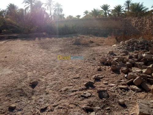 Vente Terrain Biskra Bouchagroun