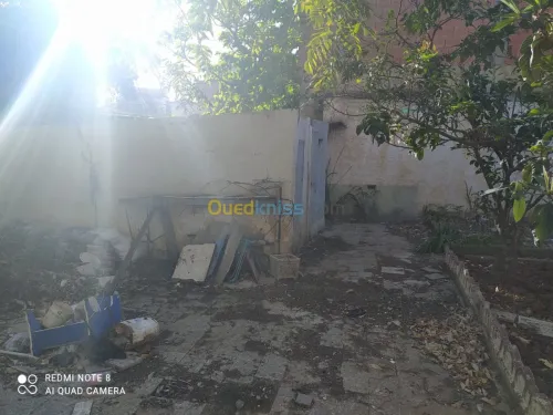 Vente Terrain Alger Birkhadem