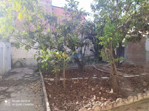 Vente Terrain Alger Birkhadem