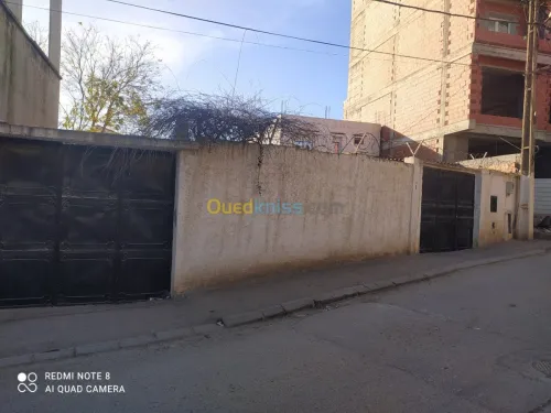 Vente Terrain Alger Birkhadem