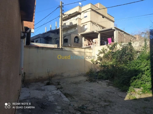 Vente Terrain Alger Birkhadem