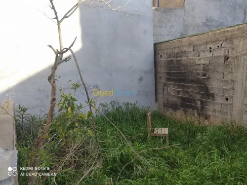 Vente Terrain Alger Birkhadem