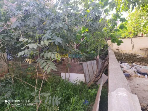 Vente Terrain Alger Birkhadem