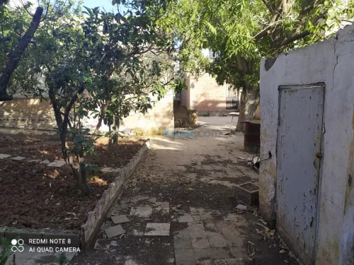 Vente Terrain Alger Birkhadem
