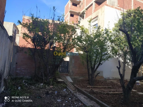 Vente Terrain Alger Birkhadem