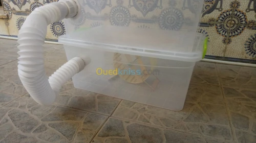 Cage pour hamster