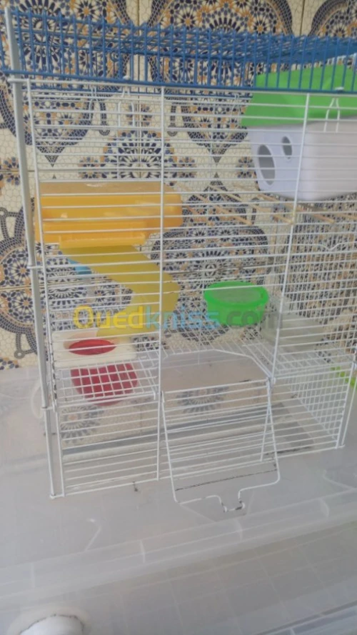 Cage pour hamster