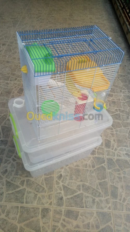 Cage pour hamster