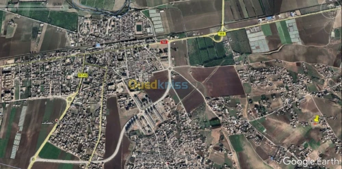 Vente Terrain Ain defla El attaf