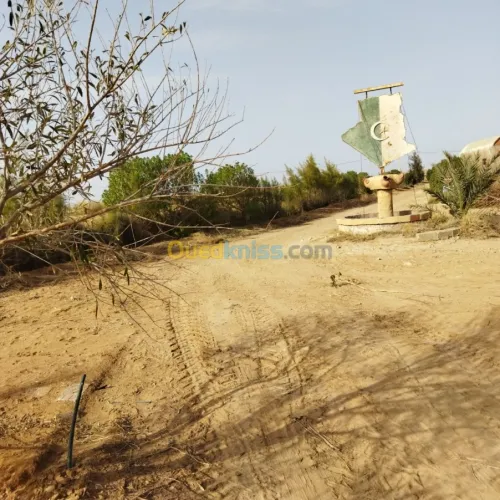 Vente Terrain Agricole Msila Mcif