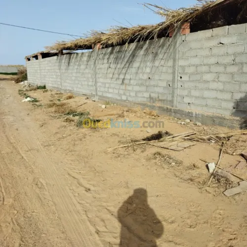 Vente Terrain Agricole Msila Mcif