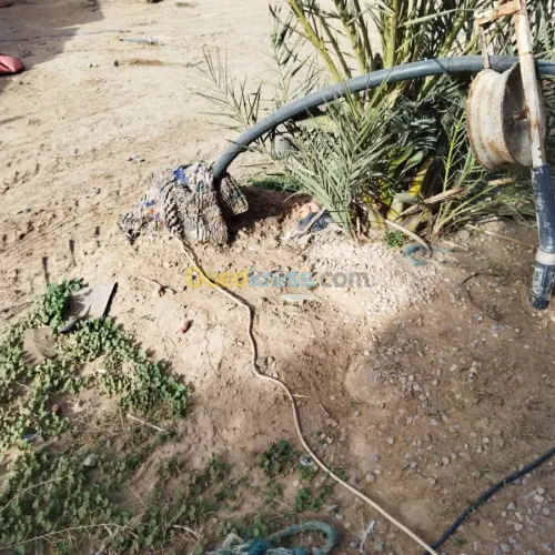 Vente Terrain Agricole Msila Mcif