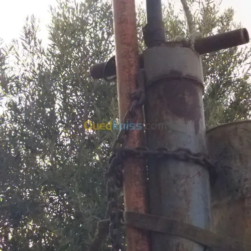 Vente Terrain Agricole Msila Mcif