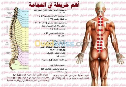 الأخصائيين في الطب بديل والرقية شرعية