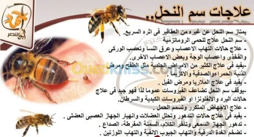 الأخصائيين في الطب بديل والرقية شرعية