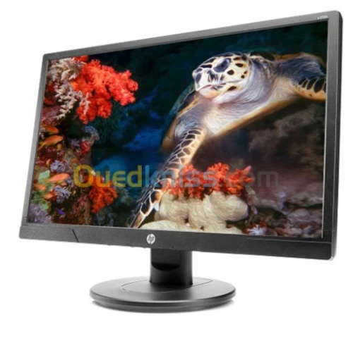 Écran HP V214A de 20,7 pouces
