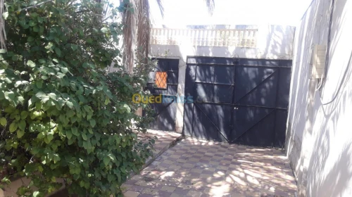 Vente Appartement Chlef Chlef
