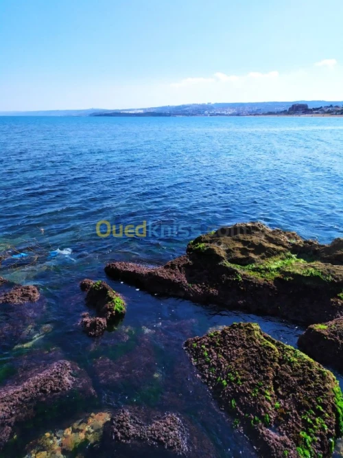 Vente Terrain Bejaia Adekar