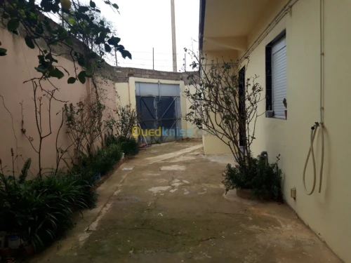 Vente Villa Chlef Taougrite