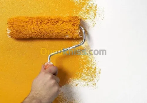 Placo-platre Peintur enduit décoration