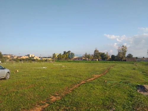 Vente Terrain Chlef Chettia