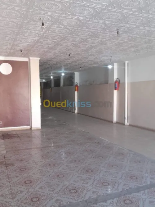 Location Local Alger Bab el oued