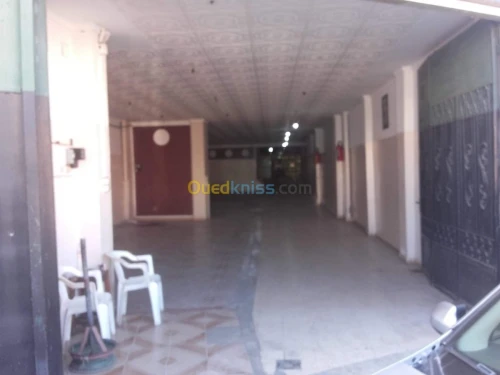 Location Local Alger Bab el oued