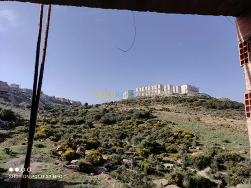 Vente Carcasse Tlemcen Mansourah
